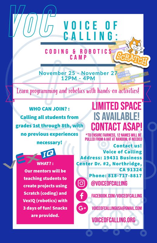 Voice of Dream 2019 camp flyer